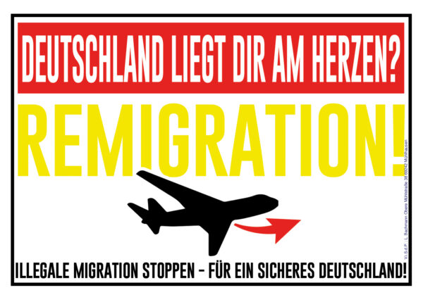 Remigration